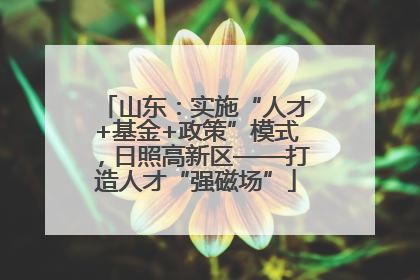 山东：实施“人才+基金+政策”模式，日照高新区——打造人才“强磁场”