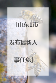 山东1市发布最新人事任免