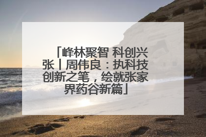 峰林聚智 科创兴张丨周伟良：执科技创新之笔，绘就张家界药谷新篇