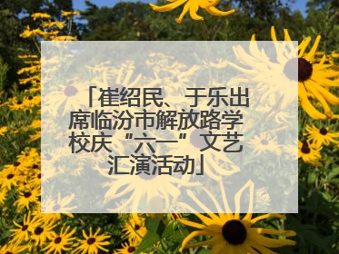 崔绍民、于乐出席临汾市解放路学校庆“六一”文艺汇演活动