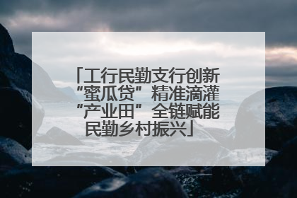 工行民勤支行创新“蜜瓜贷”精准滴灌“产业田”全链赋能民勤乡村振兴
