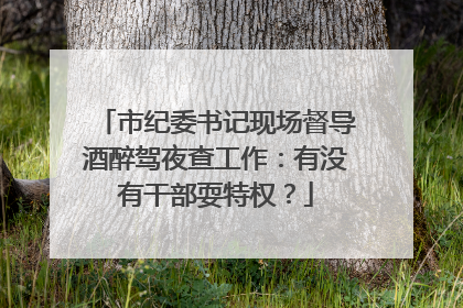 市纪委书记现场督导酒醉驾夜查工作：有没有干部耍特权？