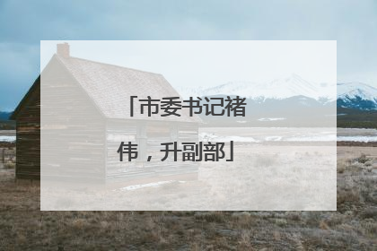 市委书记褚伟，升副部