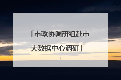 市政协调研组赴市大数据中心调研