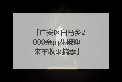 广安区白马乡2000余亩花椒迎来丰收采摘季