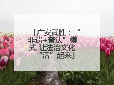 广安武胜：“非遗+普法”模式 让法治文化“活”起来