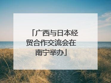 广西与日本经贸合作交流会在南宁举办