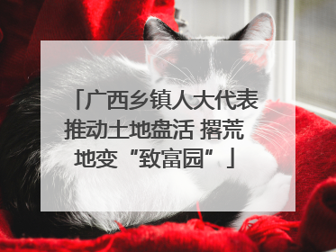 广西乡镇人大代表推动土地盘活 撂荒地变“致富园”