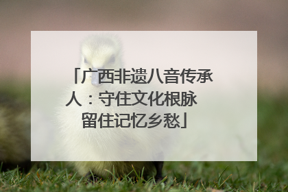 广西非遗八音传承人：守住文化根脉 留住记忆乡愁