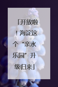 开放啦！海淀这个“亲水乐园”升级归来