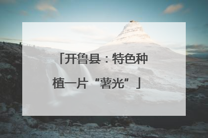 开鲁县：特色种植一片“薯光”