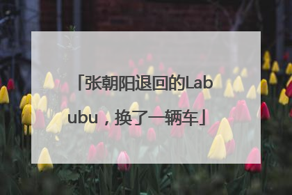 张朝阳退回的Labubu，换了一辆车