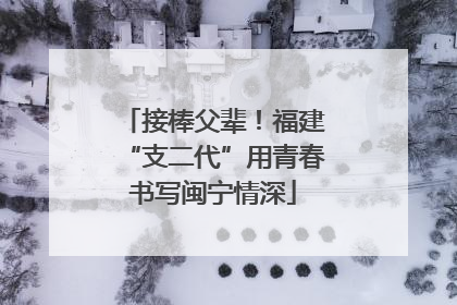 接棒父辈！福建“支二代”用青春书写闽宁情深