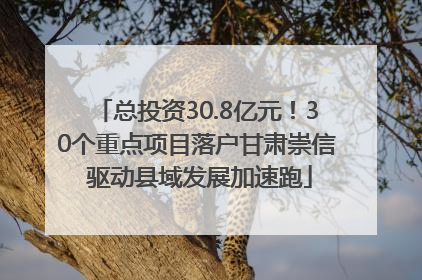总投资30.8亿元！30个重点项目落户甘肃崇信 驱动县域发展加速跑