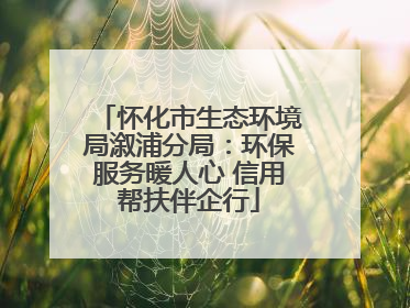 怀化市生态环境局溆浦分局：环保服务暖人心 信用帮扶伴企行