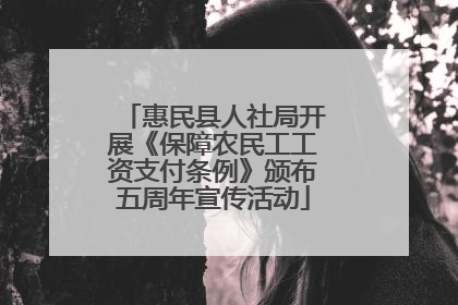 惠民县人社局开展《保障农民工工资支付条例》颁布五周年宣传活动