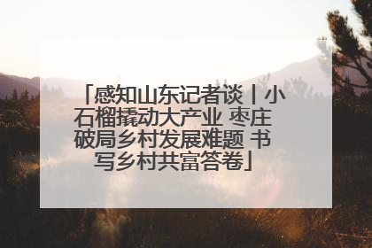 感知山东记者谈丨小石榴撬动大产业 枣庄破局乡村发展难题 书写乡村共富答卷