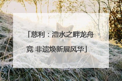 慈利：澧水之畔龙舟竞 非遗焕新展风华