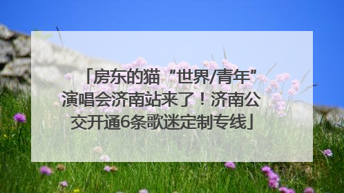房东的猫“世界/青年”演唱会济南站来了！济南公交开通6条歌迷定制专线