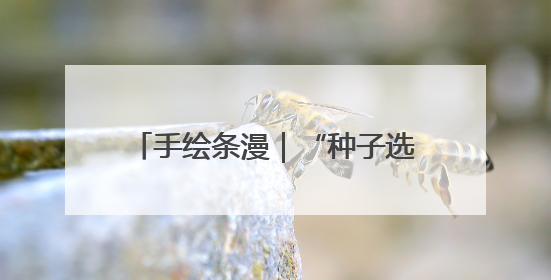 手绘条漫｜“种子选手”的麦王争霸赛