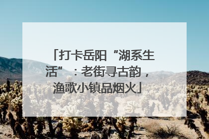 打卡岳阳“湖系生活”：老街寻古韵，渔歌小镇品烟火