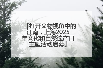 打开文物视角中的江南，上海2025年文化和自然遗产日主题活动启幕