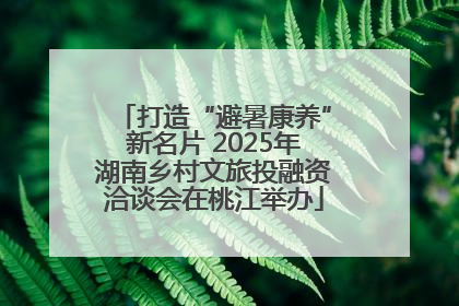 打造“避暑康养”新名片 2025年湖南乡村文旅投融资洽谈会在桃江举办
