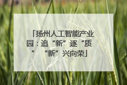 扬州人工智能产业园：追“新”逐“质” “新”兴向荣