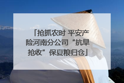 抢抓农时 平安产险河南分公司“抗旱抢收”保夏粮归仓