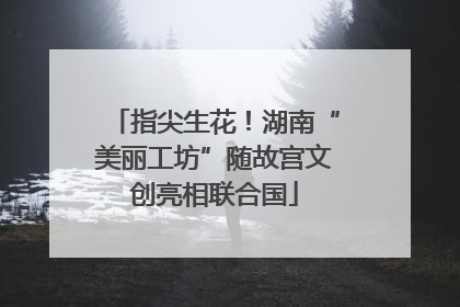 指尖生花！湖南“美丽工坊”随故宫文创亮相联合国