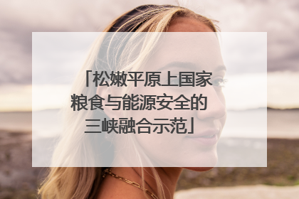 松嫩平原上国家粮食与能源安全的三峡融合示范