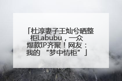 杜淳妻子王灿兮晒整柜Labubu，一众爆款IP齐聚！网友：我的 “梦中情柜”