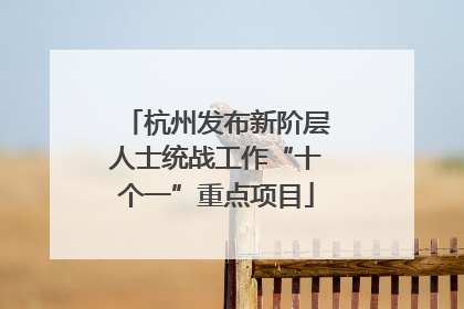 杭州发布新阶层人士统战工作“十个一”重点项目