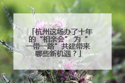 杭州这场办了十年的“相亲会” 为“一带一路”共建带来哪些新机遇？