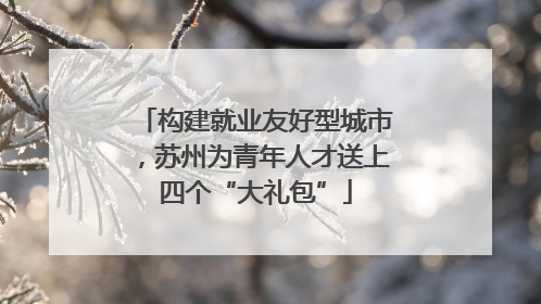 构建就业友好型城市，苏州为青年人才送上四个“大礼包”
