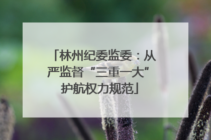 林州纪委监委：从严监督“三重一大” 护航权力规范