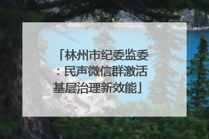 林州市纪委监委：民声微信群激活基层治理新效能