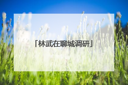 林武在聊城调研