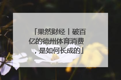 果然财经丨破百亿的德州体育消费，是如何长成的