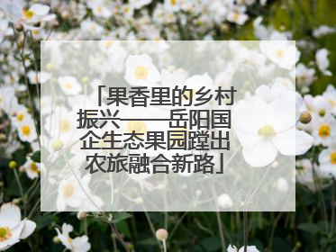 果香里的乡村振兴——岳阳国企生态果园蹚出农旅融合新路