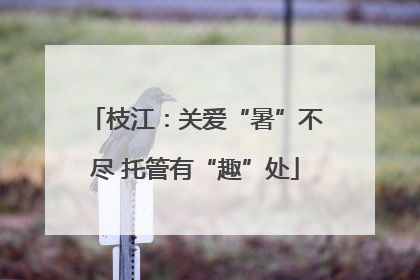 枝江：关爱“暑”不尽 托管有“趣”处