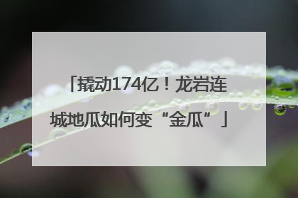 撬动174亿！龙岩连城地瓜如何变“金瓜”