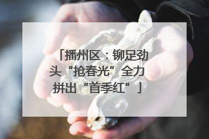 播州区：铆足劲头“抢春光”全力拼出“首季红”