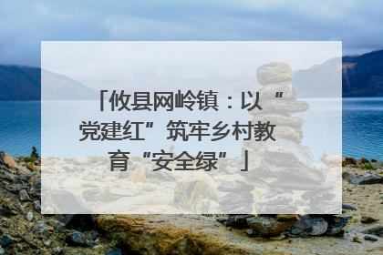 攸县网岭镇：以“党建红”筑牢乡村教育“安全绿”