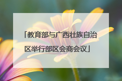 教育部与广西壮族自治区举行部区会商会议