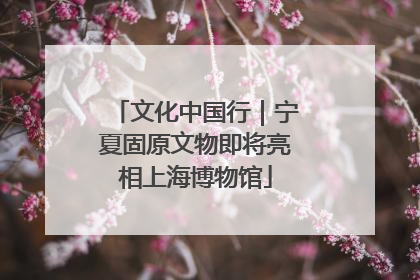 文化中国行｜宁夏固原文物即将亮相上海博物馆