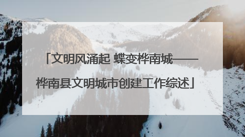 文明风涌起 蝶变桦南城——桦南县文明城市创建工作综述