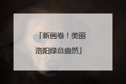 新画卷！美丽洛阳绿意盎然