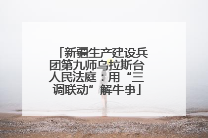 新疆生产建设兵团第九师乌拉斯台人民法庭：用“三调联动”解牛事