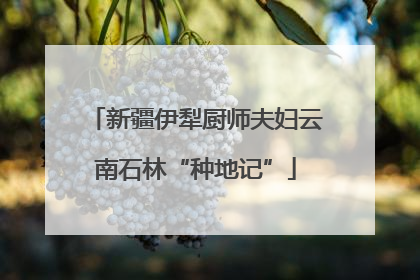 新疆伊犁厨师夫妇云南石林“种地记”